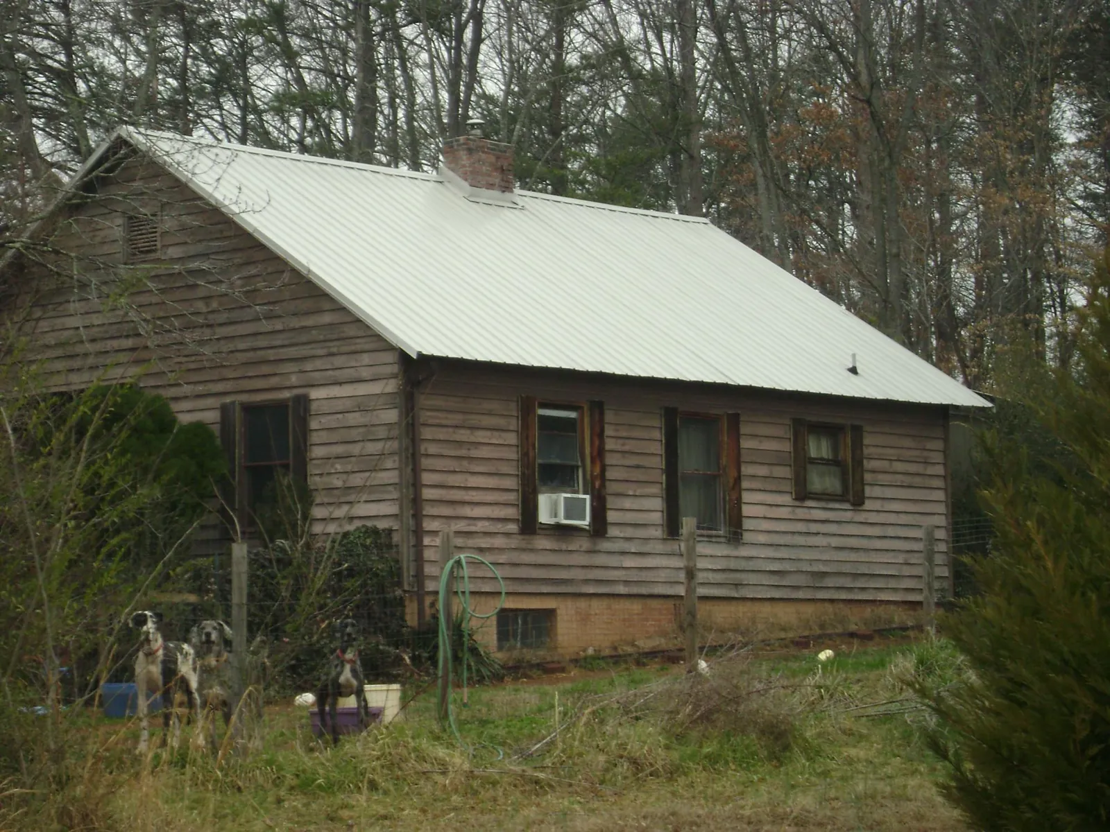 White metal roof on an old wood sided farmhouse, from a Asphalt Shingle Roof Repair job in Westport